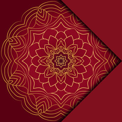 Mandala background. Vector illustration. For book cover