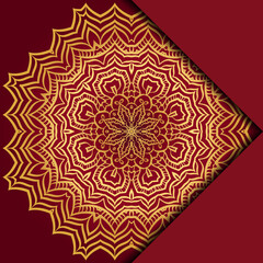 Mandala background. Vector illustration. For book cover