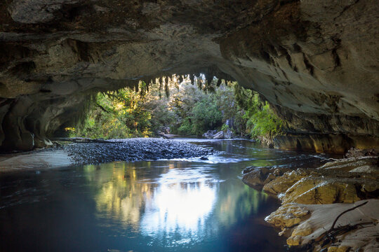 New Zealand cave