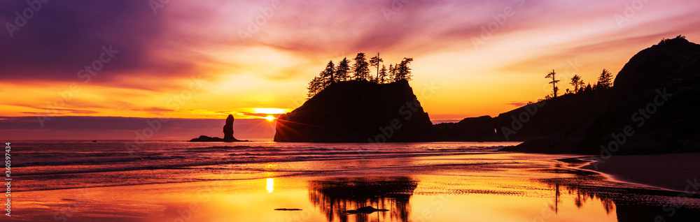 Canvas Prints olympic coast