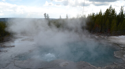 Late Spring in Yellowstone National Park: Steamy Bubbling Emerald Spring Drains Downhill in the Back Basin Area of Norris Geyser Basin