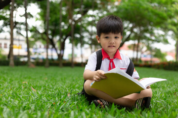 Cute little child reading a book on green grass in park