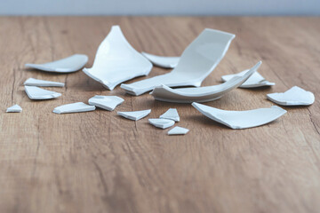 Broken Plate, Splinters, Fragments