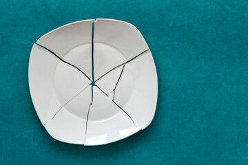 Broken Plate. White Shards, splinters