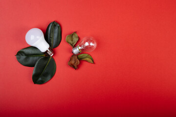 Concept Eco energy-saving LED lamp advantages over an incandescent lamp. Two lamps lying near to fresh and died lives of ficus saving electricity, money background