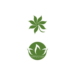 Leaf Logo Template vector symbol