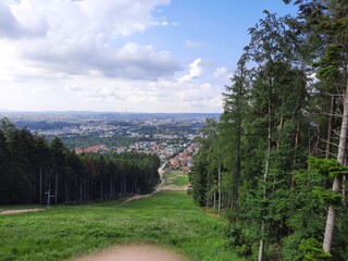 landscape with trees