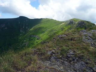 Fototapeta na wymiar Montagnes du Cantal
