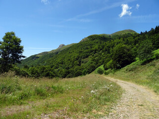 Paysage d'Auvergne