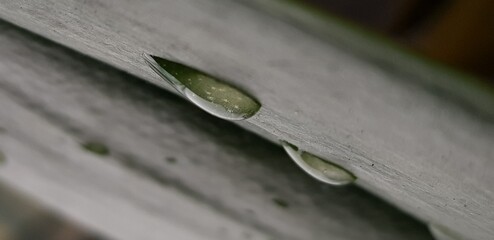 water drop on a leaf