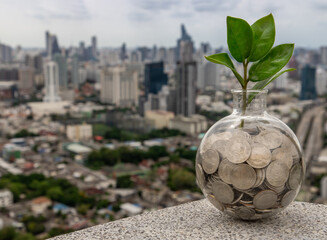 The saplings that grow on the pile of coins In a glass bottle on cityscape background Symbol for...