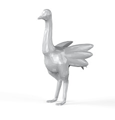 White polygonal ostrich
