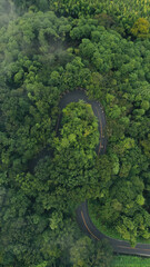 京都　空撮　道路　ドローン　広告　素材　DJI 自然　森　道　SNS　