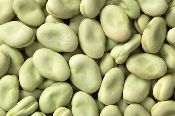 food background of uncooked dried green broad beans, top view