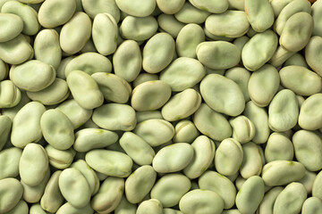 food background of uncooked dried green broad beans, top view