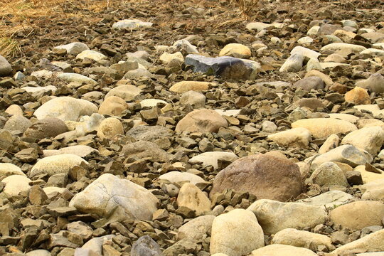 「河原」の画像 69,582 件の Stock 写真、ベクターおよびビデオ Adobe Stock