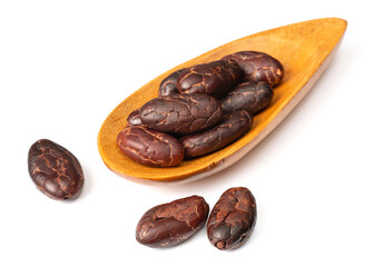 peeled cocoa beans in the wooden spoon, isolated on white background