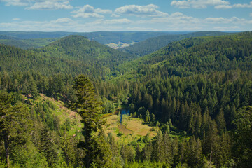Elbachseeblick auf dem Kniebis im Schwarzwald