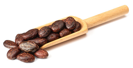 dried cocoa beans in the wooden spoon, isolated on white background