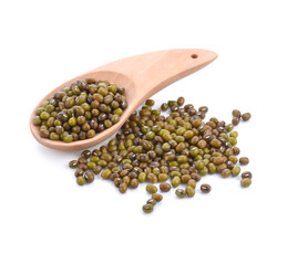 green bean seeds on a white background.