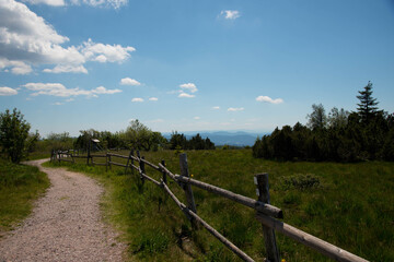 Fototapeta na wymiar Panoramaweg Schliffkopf im Nordschwarzwald