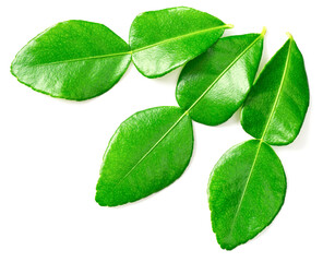 Obraz premium fresh caffre lime leaves isolated on white background, top view