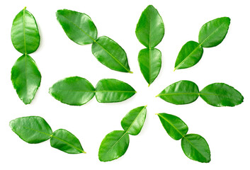 fresh caffre lime leaves isolated on white background, top view