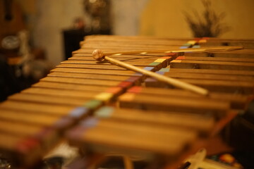 Close-up with a selective focus of a wooden xylophone with coloured tones and sharp tones. On it...
