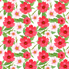 Watercolor illustration wild flower cosmos gerbera pastel  garden composition seamless repeat pattern blossom