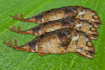 Fried mackerel on green banana leave