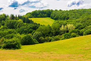 Green nature landscape view