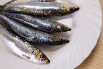 fish, fresh sardines on the plate