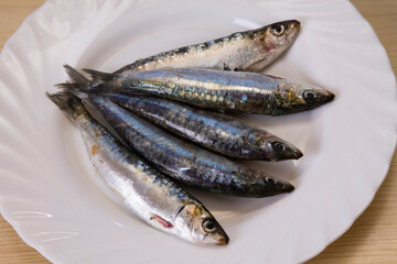 fish, fresh sardines on the plate