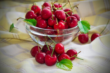glass bowl with red cherries on yellow tablecloth