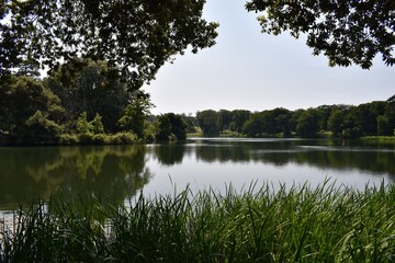 Fototapeta na wymiar Reflections on a still lake in summer, at Holkham Park, Norfolk, UK