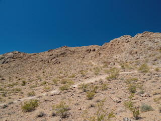 Fototapeta na wymiar Sunny view of the landsacpe of Lone Mountain