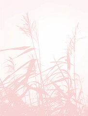 Simple Illustration with Silhouette of Water Grass. Pale Light Pink Reed on an Off-White Background.  Delicate Romantic Vector Illustration with Pink Reed Leaves.