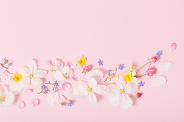 spring flowers on pink background