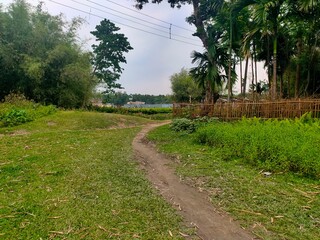 road, nature, landscape, forest, path, sky, tree, rural, grass, summer, green, trees, field, country, blue, meadow, countryside, clouds, way, spring, dirt, footpath, woods, hill, lane