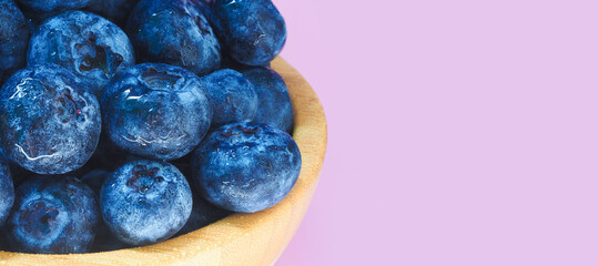 Blueberries in a wooden bowl on pink background. Blueberry close-up panoramic view