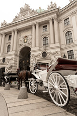 Fototapeta na wymiar Carroza con Cavallo nella piazza di Alte Hofburg, Vienna, Austria,