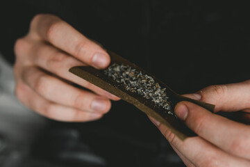 Cannabis use concept. Close up of marijuana blunt with grinder. Preparing and rolling marijuana...