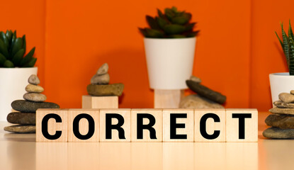 INCORRECT or CORRECT, Wood Blocks.