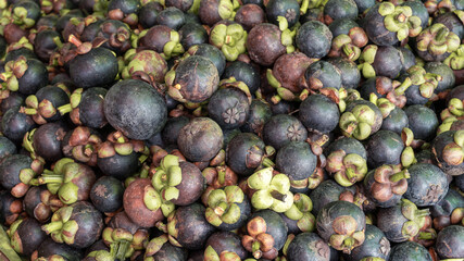 Fresh mangosteens sold in the local market of Thailand. Mangosteen background.
