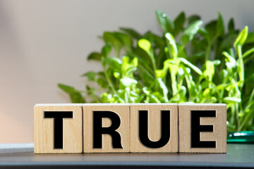concept word true on wooden cubes on a beautiful light background