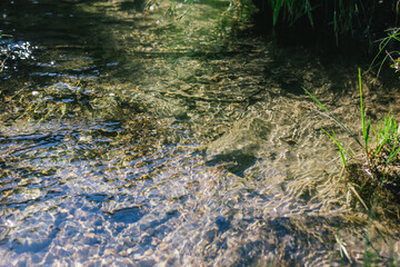 Ufa, Russia June 17, 2020 view of a calm mountain river with clear water, algae and pebbles at the bottom on a sunny day
Ufa, Republic of Bashkortostan, Russia