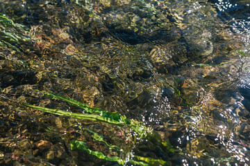 Ufa, Russia June 17, 2020 view of a calm mountain river with clear water, algae and pebbles at the bottom on a sunny day
Ufa, Republic of Bashkortostan, Russia