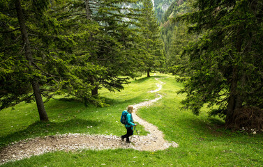 Wanderer auf Wanderweg im Tannheimer Tal / Hiker on trail in the alps