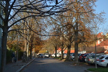 
views of streets and buildings of the old city of prague in autumn
