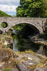 Fototapeta na wymiar River Teifi Cenarth Carmarthenshire Wales